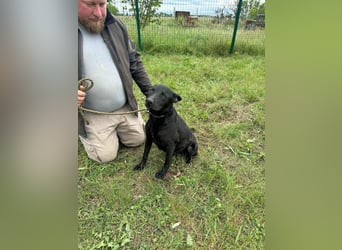 Dennis, geboren 01.06.2023, 53cm sucht nach seinem Glück