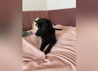 Yana, zarte Schönheit sucht ihre Menschen