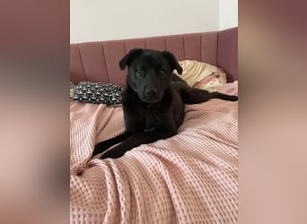 Yana, zarte Schönheit sucht ihre Menschen