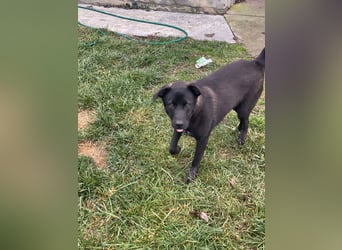 Yana, zarte Schönheit sucht ihre Menschen