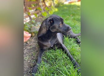 Yana, zarte Schönheit sucht ihre Menschen