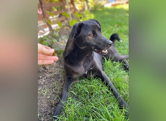 Yana, zarte Schönheit sucht ihre Menschen