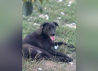 Yana, zarte Schönheit sucht ihre Menschen