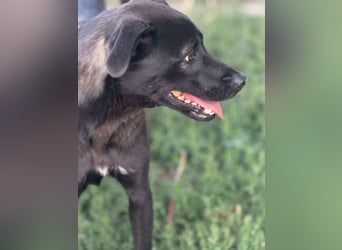 Yana, zarte Schönheit sucht ihre Menschen