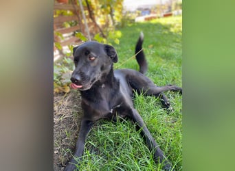 Yana, zarte Schönheit sucht ihre Menschen