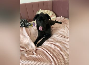 Yana, zarte Schönheit sucht ihre Menschen