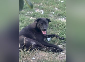 Yana, zarte Schönheit sucht ihre Menschen