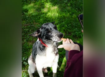 Sajo VA, möchte gerne vertrauen