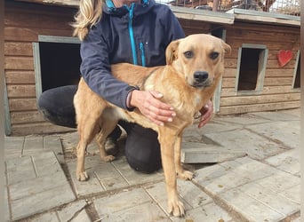 ♥PAULA♥ hübsche, sehr liebe, noch etwas zurückhaltende Zuckerschnute 46 cm