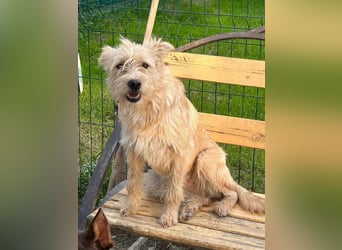 Lisette ❤️ hofft auf ein Happy End