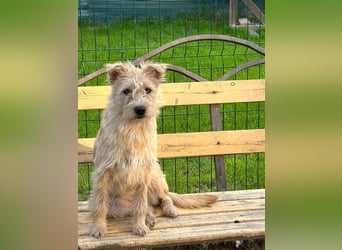 Lisette ❤️ hofft auf ein Happy End