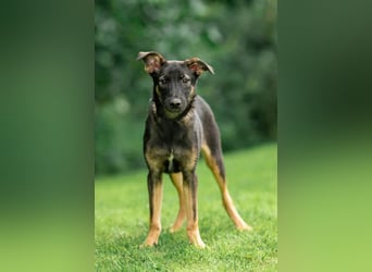 Sanfte Agatha ❤️ sucht Familie mit Herz