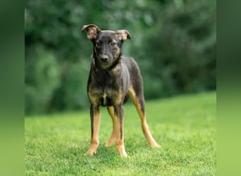 Sanfte Agatha ❤️ sucht Familie mit Herz