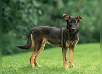 Sanfte Agatha ❤️ sucht Familie mit Herz