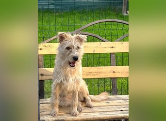 Lisette ❤️ hofft auf ein Happy End