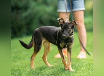 Sanfte Agatha ❤️ sucht Familie mit Herz