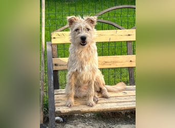 Lisette ❤️ hofft auf ein Happy End