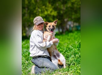 Vorsichtiger Punsch sucht liebevolles Zuhause