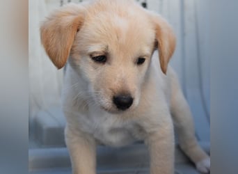 Keks - einfach nur zum anknabbern...