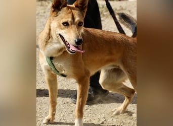 Aqua - freundlich, zuraulich und lässt sich gerne anfassen