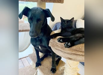 Wunderschöne Mai sucht ihre Familie