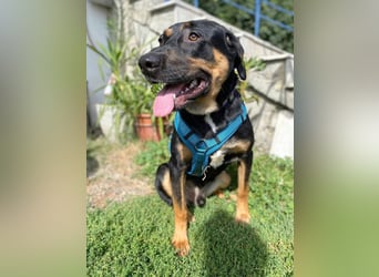 Hübscher Nadir sucht liebe Familie