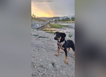 Hübscher Nadir sucht liebe Familie