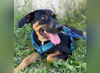 Hübscher Nadir sucht liebe Familie