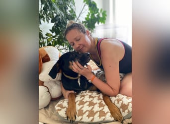 Hübscher Nadir sucht liebe Familie