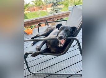 Wunderschöne Mai sucht ihre Familie