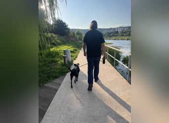 Wunderschöne Mai sucht ihre Familie