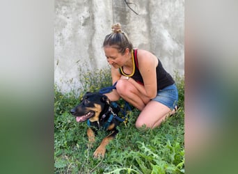 Hübscher Nadir sucht liebe Familie