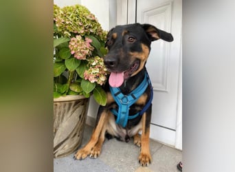 Hübscher Nadir sucht liebe Familie