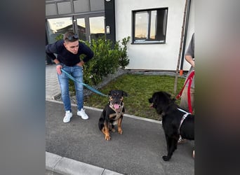 Hübscher Nadir sucht liebe Familie