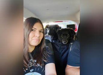 Wunderschöne Mai sucht ihre Familie