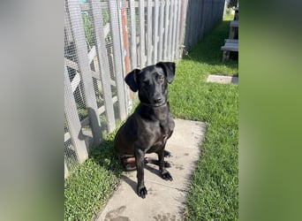 Wunderschöne Mai sucht ihre Familie