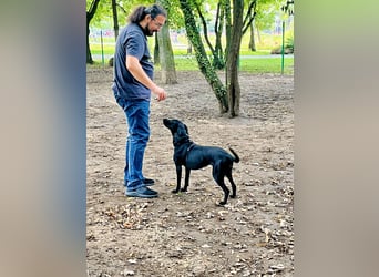 Wunderschöne Mai sucht ihre Familie