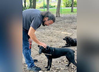 Wunderschöne Mai sucht ihre Familie