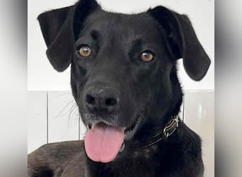 Wunderschöne Mai sucht ihre Familie