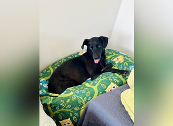 Wunderschöne Mai sucht ihre Familie