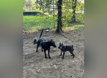 Wunderschöne Mai sucht ihre Familie