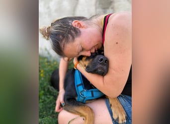 Hübscher Nadir sucht liebe Familie