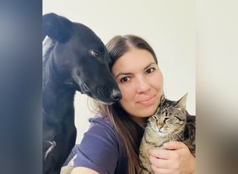 Wunderschöne Mai sucht ihre Familie