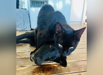 Wunderschöne Mai sucht ihre Familie