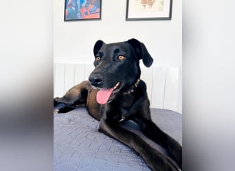 Wunderschöne Mai sucht ihre Familie