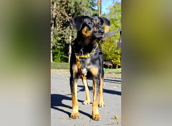 Hübscher Nadir sucht liebe Familie