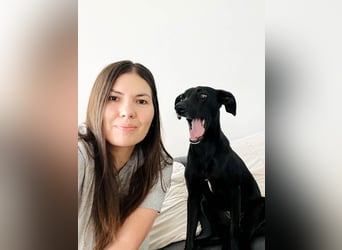 Wunderschöne Mai sucht ihre Familie