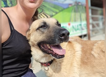 Nikon – Lebensfreude auf drei Beinchen