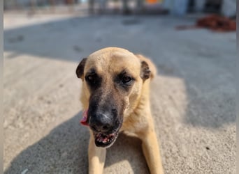 Nikon – Lebensfreude auf drei Beinchen