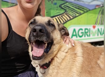 Nikon – Lebensfreude auf drei Beinchen